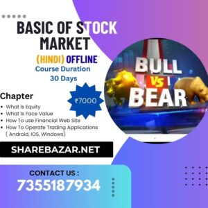 Basic Of Stock Market (Hindi) offline